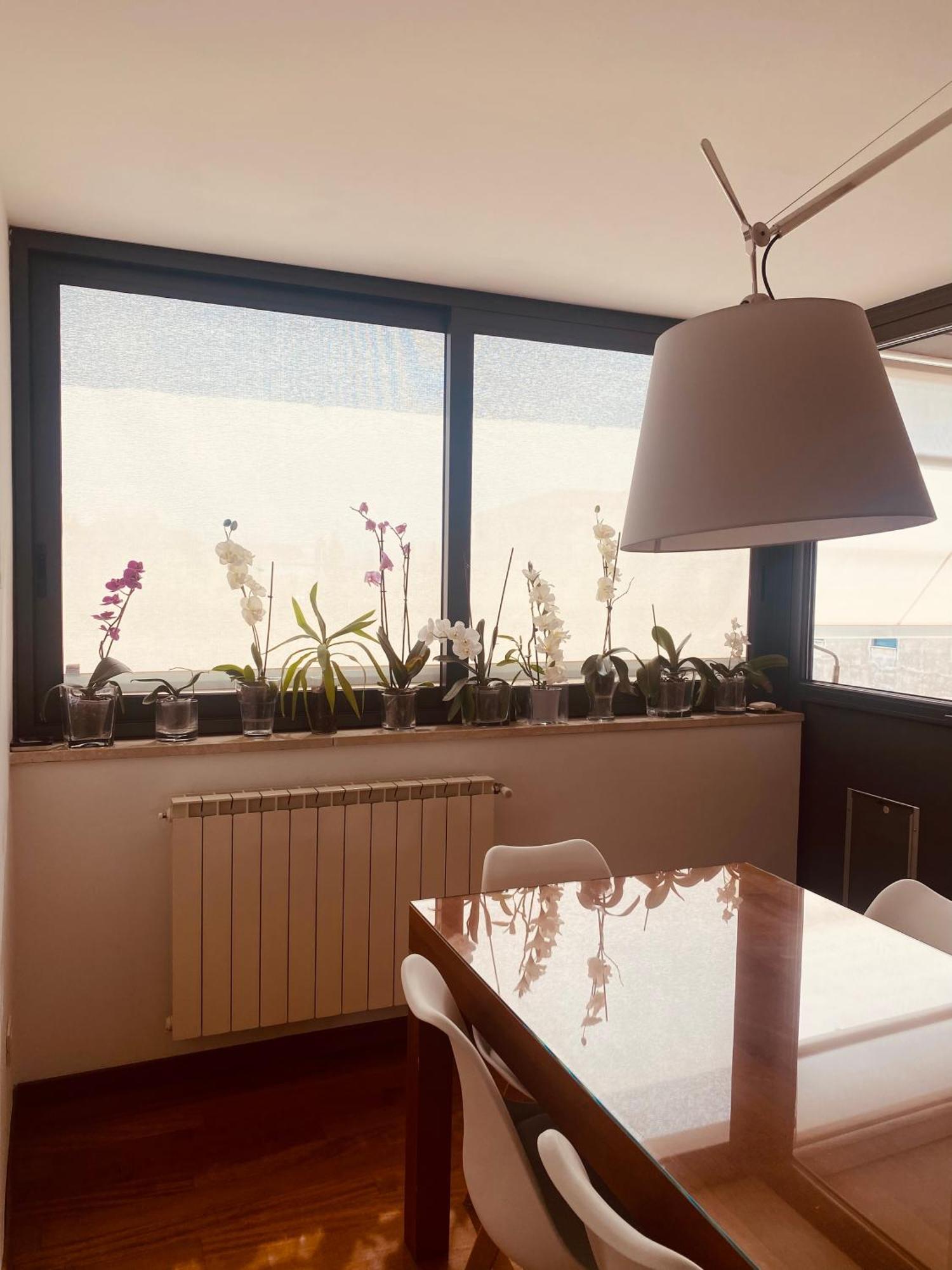 La Casa Di Dani Apartamento Florença Exterior foto